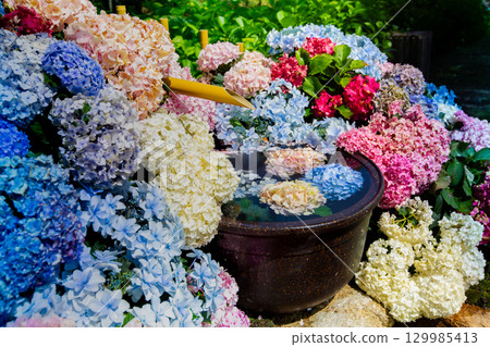 Sanuki Manno National Government Park - Seasonal Flower Fields 129985413