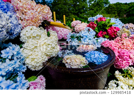 贊岐滿濃國營公園 - 四季花田 129985418