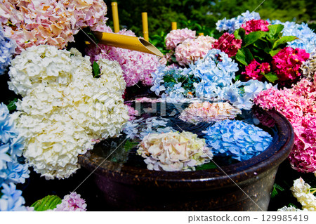 贊岐滿濃國營公園 - 四季花田 129985419