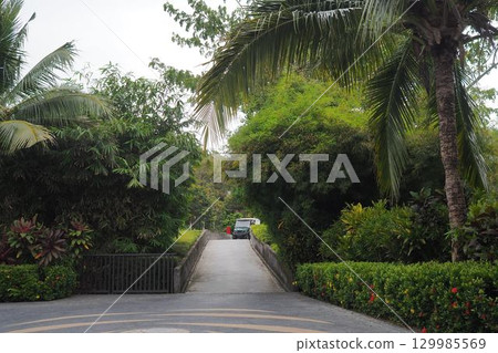 The Ritz-Carlton Langkawi, a road filled with tropical plants 129985569