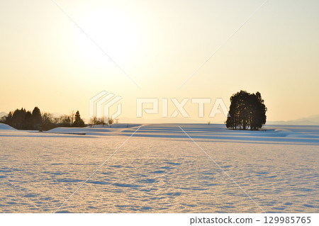 Ikegahara Hasagi (Niigata Prefecture) 129985765