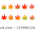 Autumn Colorful Maple Illustration 129986126