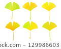 Autumn colorful ginkgo set 129986603