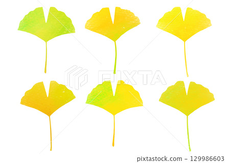 Autumn colorful ginkgo set 129986603