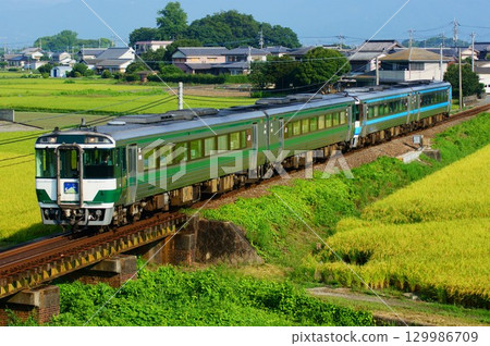 Limited Express Tsurugiyama No. 2 (Kiha 185 series) running through the countryside 129986709