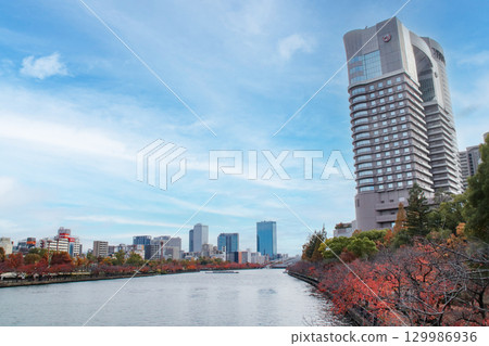大川與毛馬櫻之宮公園的紅葉（右岸）/大阪府大阪市北區天滿橋一丁目 129986936