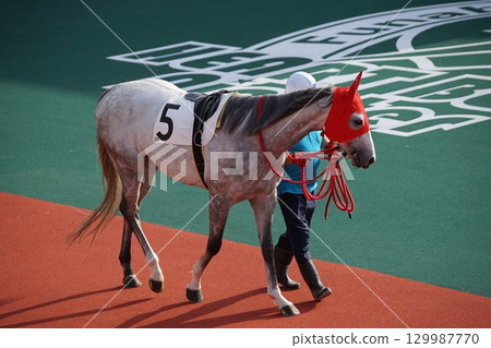 Scenery of Funabashi Racecourse, May 2025 129987770