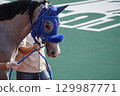 Scenery of Funabashi Racecourse, May 2025 129987771
