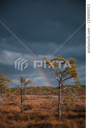 Rainbow arcs across a moody sky over a tranquil landscape in early spring Rainbow arcs across a moody sky over a tranquil landscape in early spring 129988913