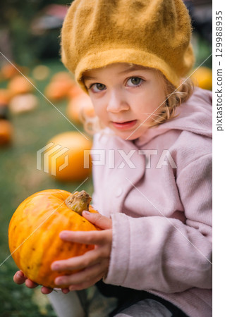 A young child enjoys pumpkin picking on a sunny autumn day in a vibrant field A young child enjoys pumpkin picking on a sunny autumn day in a vibrant field 129988935