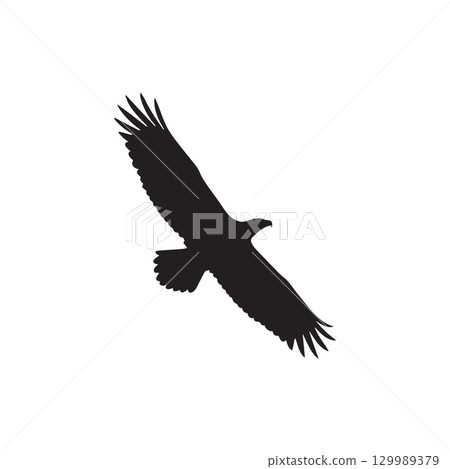 silhouette of a soaring eagle in flight with wings fully spread isolated on white background 129989379