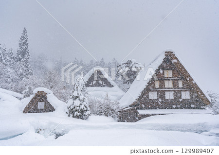 Shirakawa-go in snowy winter 129989407
