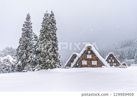 下雪的冬天的白川鄉 129989408