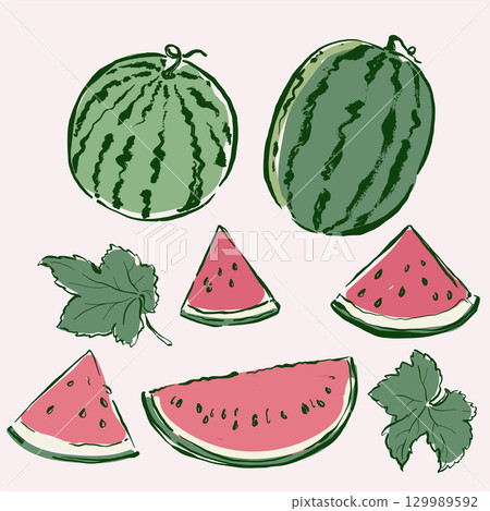 Vector fruit doodle illustration of juicy watermelon and leaves. Hand-drawn garden harvest sketch. Organic farm graphics. Tasty food for design, veggie market drawing print, fabric or background. 129989592