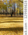 代代木公園秋葉 129989828