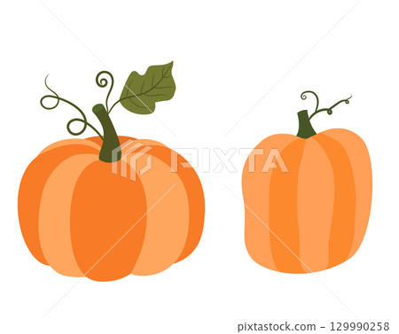 Orange autumn pumpkins with green stems, vector graphics for Thanksgiving and Halloween designs 129990258