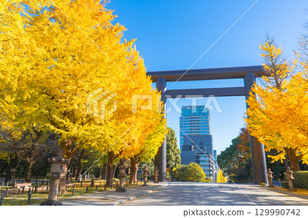 Ginkgo trees at Yasukuni Shrine in autumn, Tokyo Ginkgo trees at Yasukuni Shrine in autumn, Tokyo 129990742