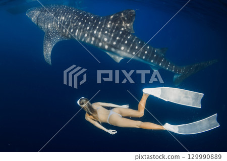 Free diver woman swimming with giant whale shark in deep blue ocean, harmony of human and marine life Free diver woman swimming with giant whale shark in deep blue ocean, harmony of human and marine life 129990889