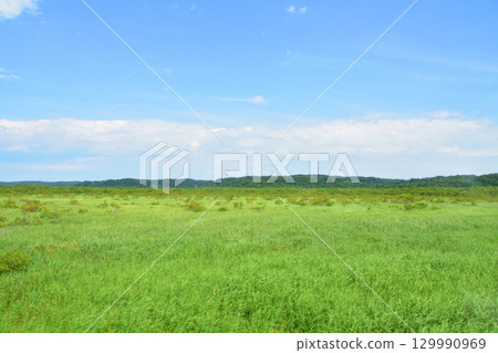 JR Hokkaido's Nemuro Main Line, train window view from Hamanaka Station to Akkeshi Station (2023) 129990969