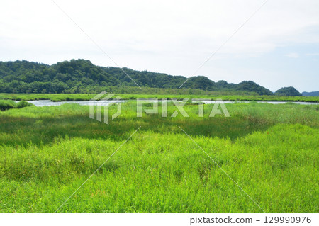 JR北海道根室本線，浜中站至厚岸站的列車窗景色（2023年） 129990976