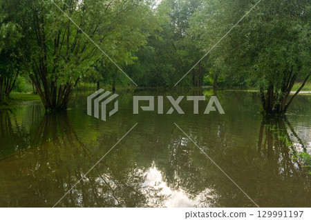 landscape of flooded park after heavy rain landscape of flooded park after heavy rain 129991197