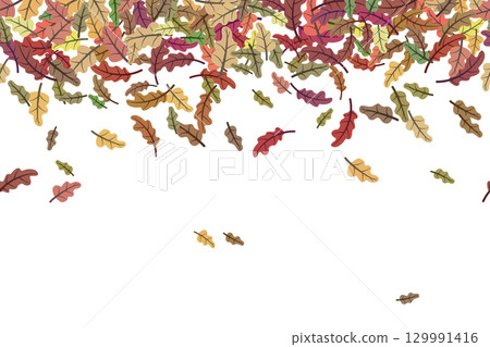 Colorful oak leaves falling creating a seamless border on white background 129991416