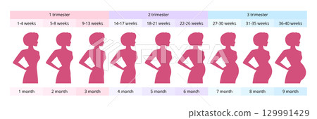 Pregnant woman showing belly growth from first to third trimester Pregnant woman showing belly growth from first to third trimester 129991429