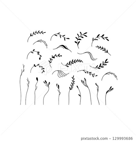 Elegant hand-drawn botanical designs featuring various leaf and plant illustrations for creative projects 129993686