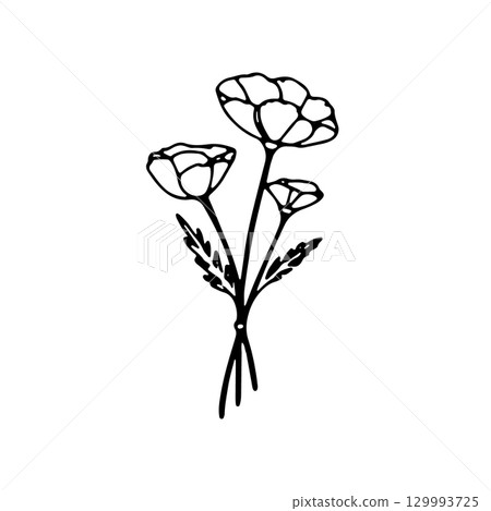 Sketch of three blooming flowers with delicate petals on a simple stem design 129993725