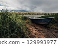 A fishing boat is moored in the grass on a sandy beach 129993977