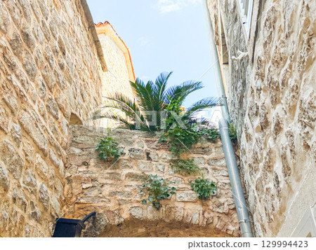 Stone alley with palm leaves rising above ancient walls. Architecture, history, tradition and atmosphere in a European old town. 129994423