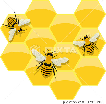 Bees on honeycomb, vibrant yellow and black stripes, adding a touch of nature's sweetness. Bees on honeycomb, vibrant yellow and black stripes, adding a touch of nature's sweetness. 129994948