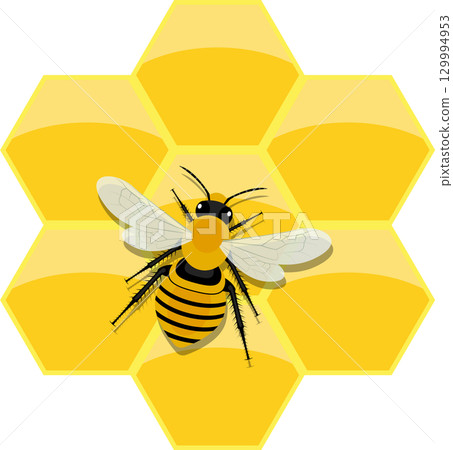 A cartoon bee with yellow and black stripes stands over a honeycomb. The cell is hexagon shaped. 129994953