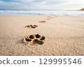 Cat paw print on the sand on the beach 129995546
