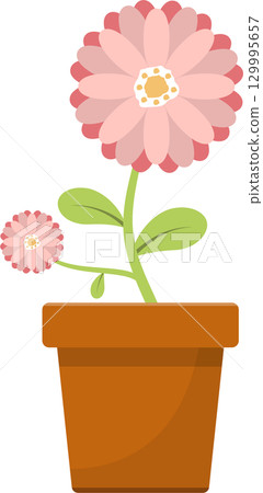Vibrant floral display featuring two pink blossoms with yellow centers in a terracotta pot. 129995657