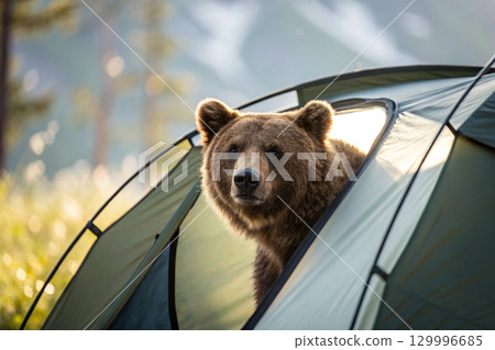 brown bear in the tent 129996685