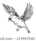 Flying bird. Handmade ink illustration. For packaging design, cards, cover, prints, product labels and fabric. 129997682