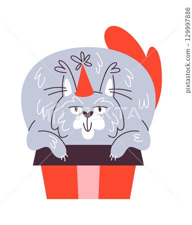 Christmas cat sitting inside gift Christmas cat sitting inside gift 129997886