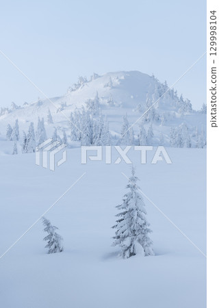 Winter Mountain Landscape With Snow Covered Trees 129998104