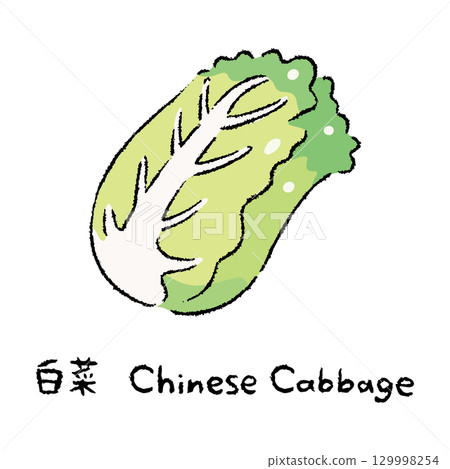 Hand-drawn Chinese cabbage 2_Name 129998254
