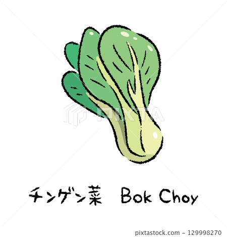 手繪高麗菜 2_name 129998270