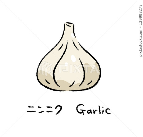 Hand-drawn garlic 2_name included Hand-drawn garlic 2_name included 129998275