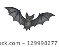 蝙蝠圖 129998277