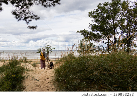 person walks two dogs on path in forest. Pet training with handler, professional dog walker. 129998288