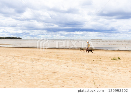professional dog walker. person walks two pets on beach. dogs on leashes, woman is wearing hat.  129998302