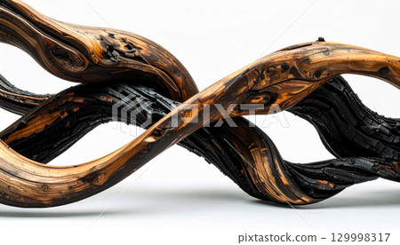 A structure made of intertwining scorched wood / An abstract artwork that combines strength and natural beauty 129998317