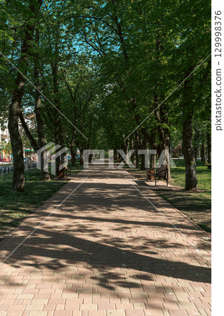 Sunny Tree-Lined Pathway in a Peaceful City Park 129998376