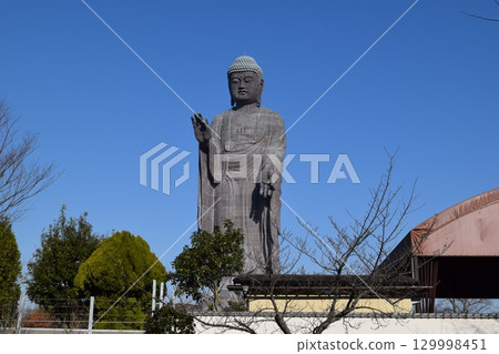 Ushiku Daibutsu The world's largest bronze statue 129998451