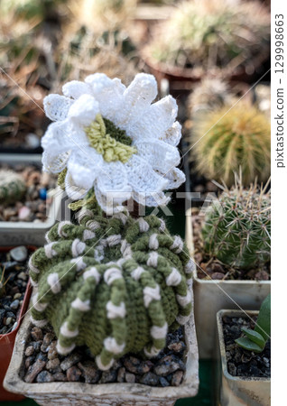 A close up of a flower garden 129998663