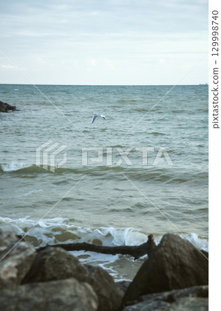 storm at sea. waves among rocks, horizon visible 129998740
